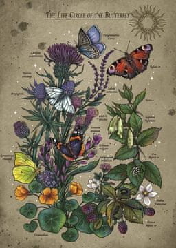 Ravensburger Življenjski cikel metuljev Puzzle 1000 kosov