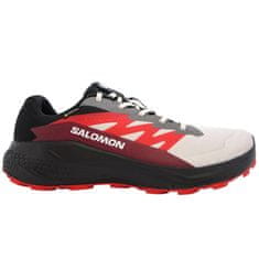 Salomon Čevlji obutev za tek 44 EU Alphaglide Gtx