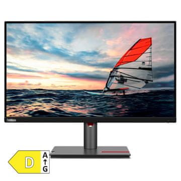 Lenovo ThinkVision P25i-30 24,5" (62,23cm) FHD IPS DP/HDMI/VGA/USBC monitor