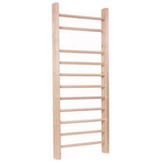 shumee Lakirana fitnes lestev za vadbo MASTER 195 x 70 cm
