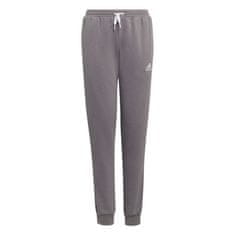 Adidas Hlače siva 123 - 128 cm/XS Entrada 22