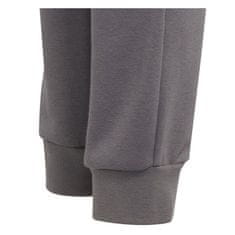 Adidas Hlače siva 123 - 128 cm/XS Entrada 22