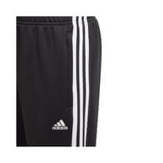 Adidas Hlače obutev za trening črna 147 - 152 cm/M Designed 2 Move 3STRIPES