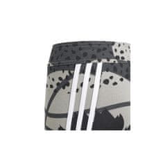 Adidas Hlače obutev za trening siva 165 - 170 cm/XL G FI 3STRIPES Aop Tight