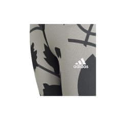 Adidas Hlače obutev za trening siva 165 - 170 cm/XL G FI 3STRIPES Aop Tight