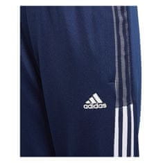 Adidas Hlače mornarsko modra 159 - 164 cm/L Tiro 21 Track Pant