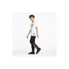 Puma Hlače črna 164 - 175 cm/XL X Minecraft Sweatpants