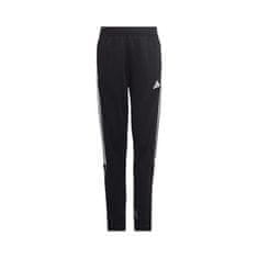 Adidas Hlače obutev za trening črna 111 - 116 cm Tiro 23 League JR