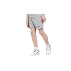 Champion Hlače siva 156 - 167 cm/XL 305984EM006