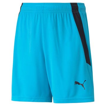 Puma Hlače modra Teamliga