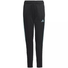 Adidas Hlače črna 147 - 152 cm/M Tiro 23 Club Training