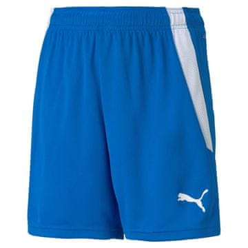 Puma Hlače Puma Teamliga 70493102