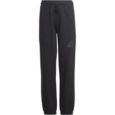 Adidas Hlače U Fi Logo Pt 000 HR6286