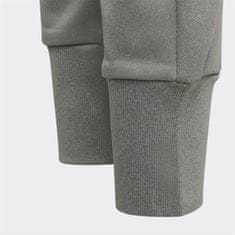 Adidas Hlače obutev za trening siva 159 - 164 cm/L H16905