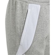 Adidas Hlače siva 147 - 152 cm/M Tiro 24