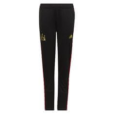 Adidas Hlače obutev za trening črna 171 - 176 cm/XL HI3794