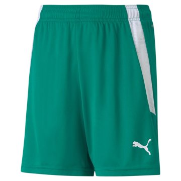 Puma Hlače zelena Teamliga