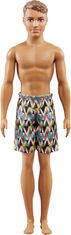 Mattel Mattel barbie - Ken s karo pantalonami (FJF09)