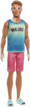 Mattel Mattel Barbie - Ken (HBV26)