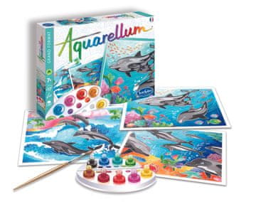Sentosphére Aquarellum - Delfini