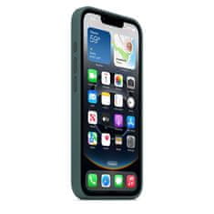 Apple ovitek za iPhone 16e, Silicone Case Lake Green (md3x4zm/a)