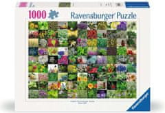 Ravensburger Puzzle 99 zelišč 1000 kosov