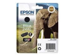 Epson kartuša T2431 foto črna HD XL (slon)