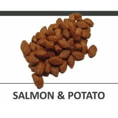 DELIKAN CD Salmon and Potato 24/11 3kg