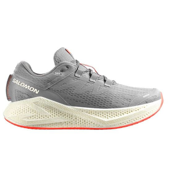 Salomon Čevlji obutev za tek siva Aero Glide 3