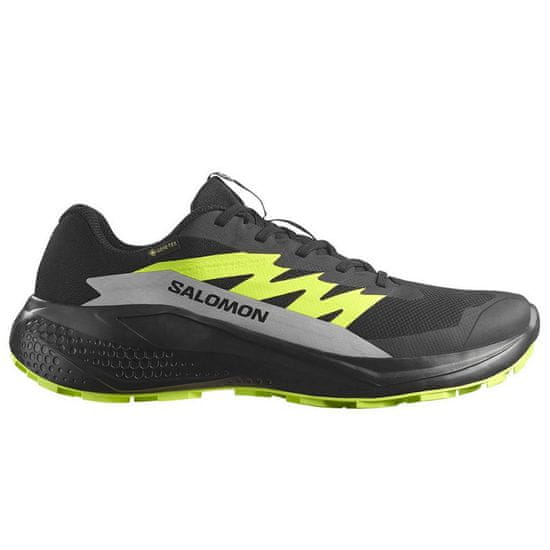 Salomon Čevlji obutev za tek Alphaglide Gtx