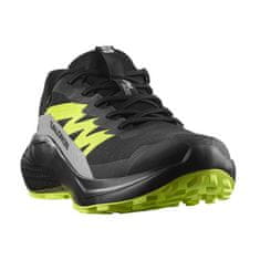 Salomon Čevlji obutev za tek 45 1/3 EU Alphaglide Gtx