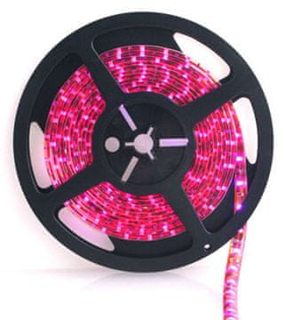 Forever LED trak SMD3528 8mm 60LED 4,8W/m - roza