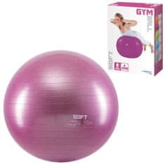 Denis Gimnastična žoga Gym Soft 55 cm