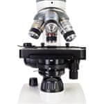 Polarni mikroskop Discovery Atto