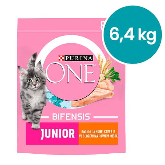 Purina ONE ONE Bifensis Junior s piščancem in polnozrnatimi žiti, 8x800 g