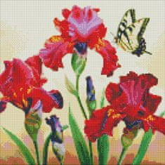 Rayher.	 Diamantni mozaik, Exquisite irises, 40x40 cm
