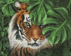 Rayher.	 Diamantni mozaik, Amur tiger, 40x50 cm