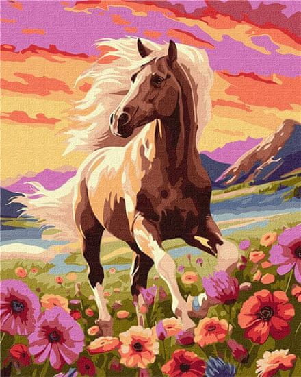 Rayher.	 Slikanje po številkah, A graceful horse, 40x50 cm