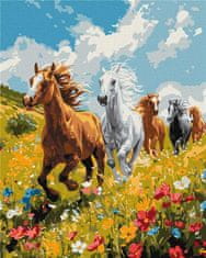 Rayher.	 Slikanje po številkah, Harmony in the field, 40x50 cm