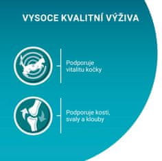 Purina ONE ONE Adult vrečke za mačke, mini fileji s piščancem in stročjim fižolom v soku, 26x 85 g