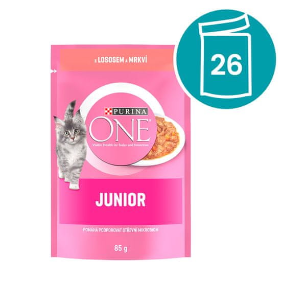 Purina ONE JUNIOR losos v soku 26×85 g