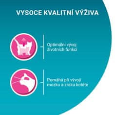 Purina ONE JUNIOR losos v soku 26×85 g