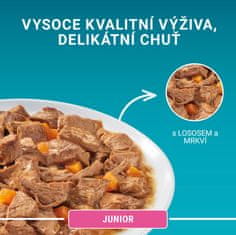 Purina ONE JUNIOR losos v soku 26×85 g