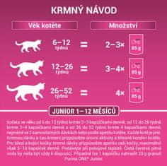 Purina ONE JUNIOR losos v soku 26×85 g