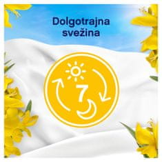 Lenor Sicilia mehčalec, 1 l, 47 pranj