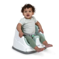 Ingenuity 2v1 Baby Base Mist 6m+ do 22 kg