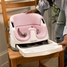 Ingenuity 2v1 Baby Base Peony 6m+ do 22kg