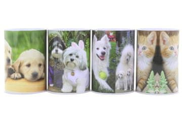 Kovinska škatla za zaklade za pse in mačke