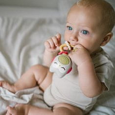 BABYONO Hrošček z zobotrebcem 3m+ Sova