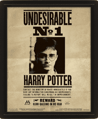 Harry Potter - Sirius 3D slika
